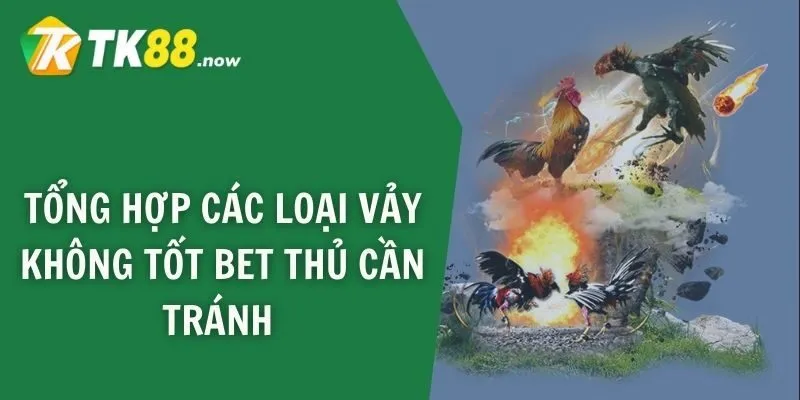 Tổng hợp các loại vảy không tốt bet thủ cần tránh